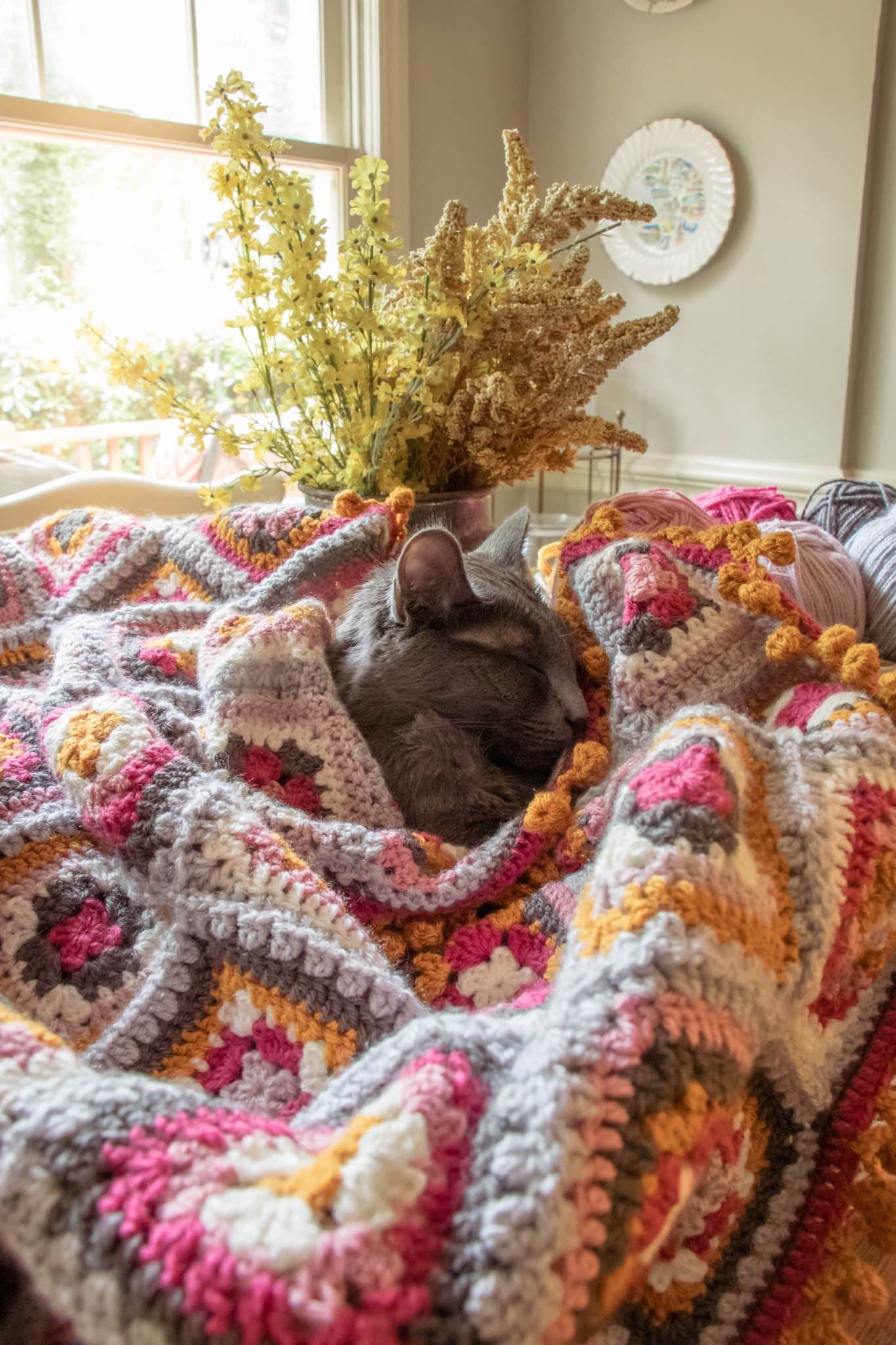 Little grey kitten snuggled under a granny square blanket. 