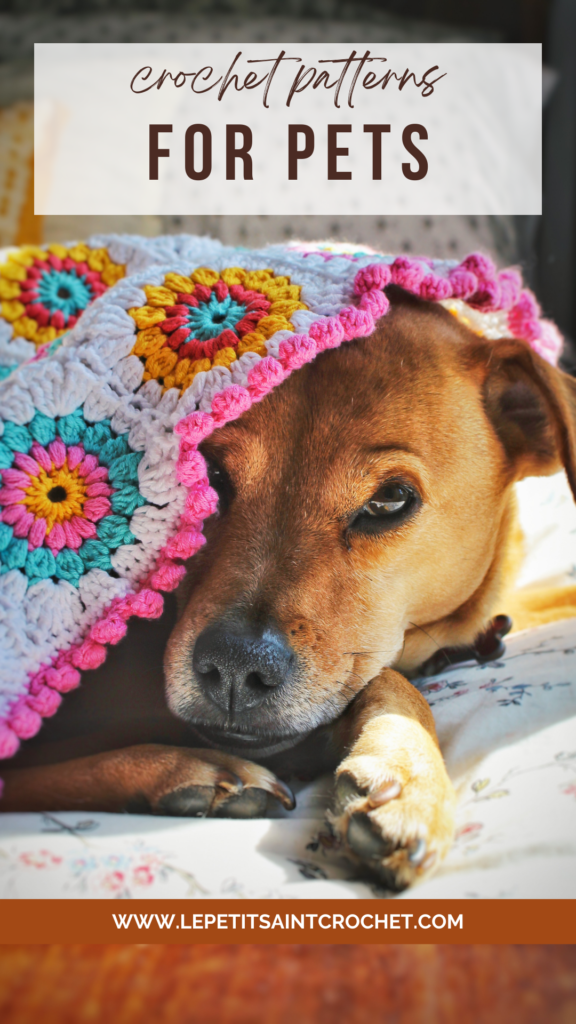 crochet projects to pamper your pets